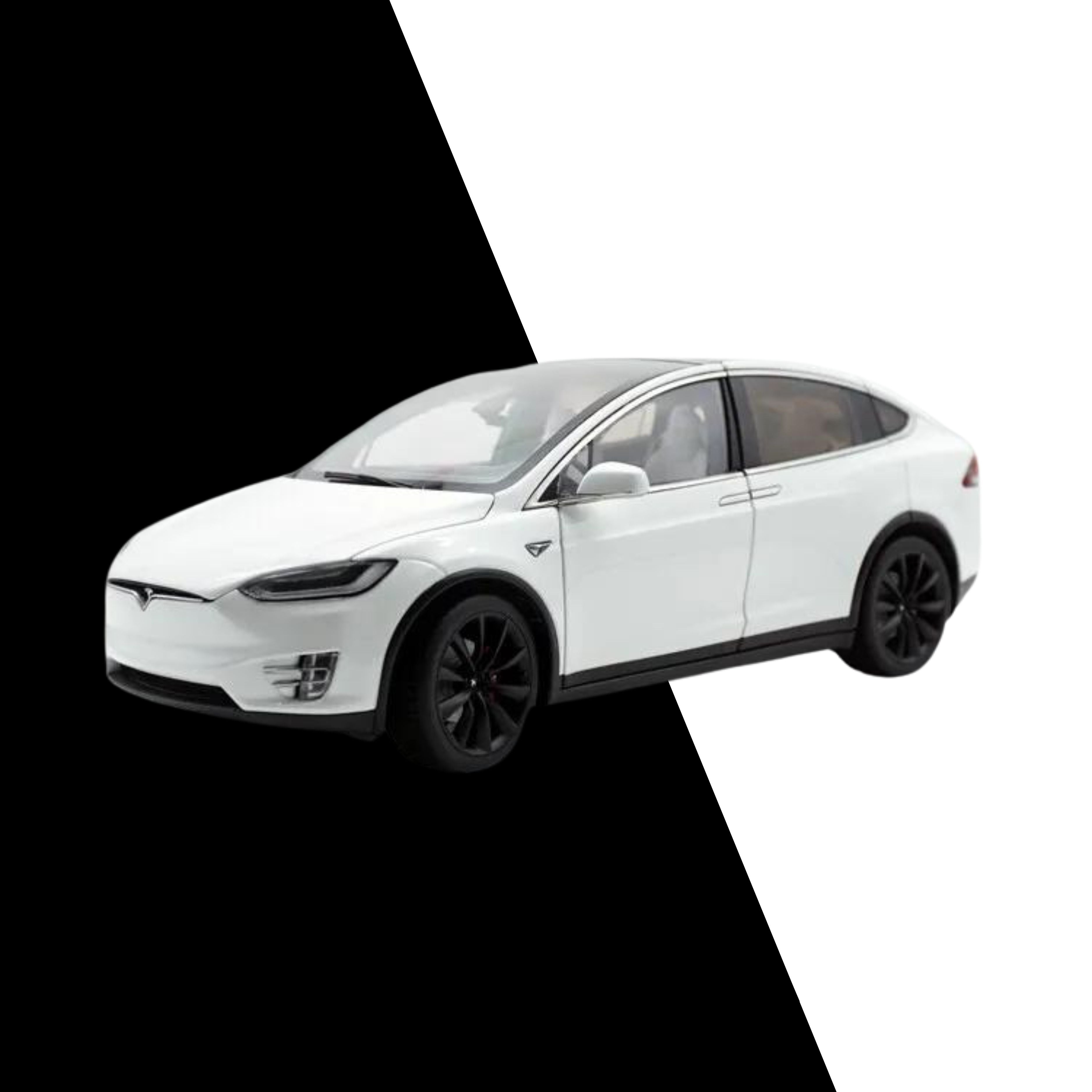 1:24 Scale Tesla Model X